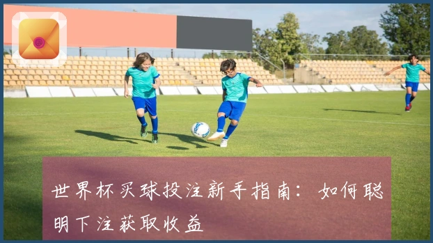 世界杯买球投注新手指南：如何聪明下注获取收益