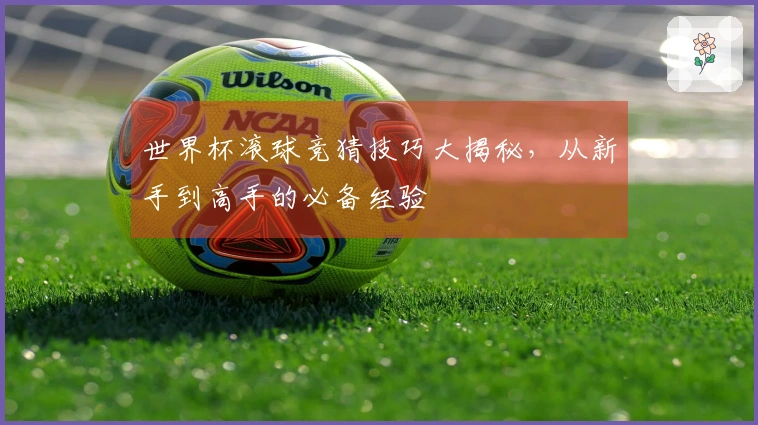 世界杯滚球竞猜技巧大揭秘，从新手到高手的必备经验