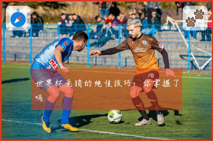世界杯竞猜的绝佳技巧，你掌握了吗