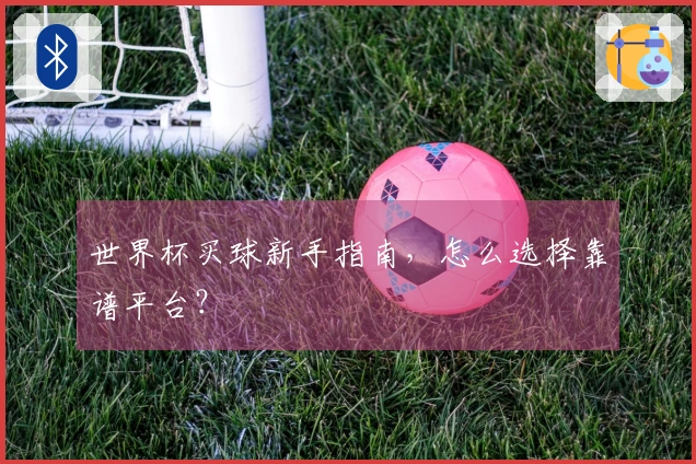 世界杯买球新手指南，怎么选择靠谱平台？