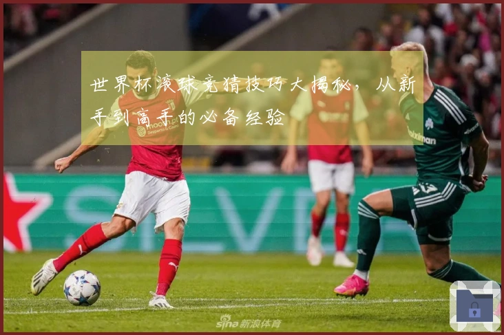 世界杯滚球竞猜技巧大揭秘，从新手到高手的必备经验