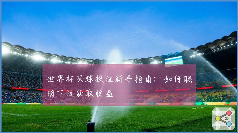 世界杯买球投注新手指南：如何聪明下注获取收益